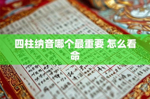 四柱纳音哪个最重要 怎么看命 四柱纳音哪个最重要 怎么看命