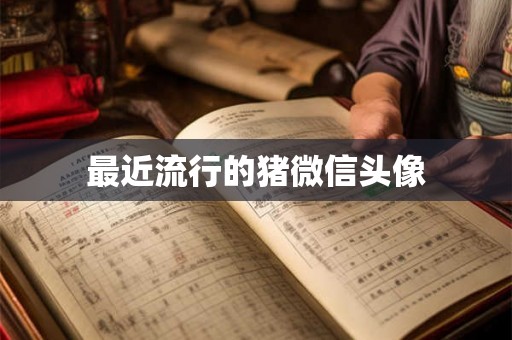 最近流行的猪微信头像