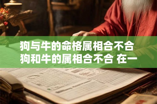 狗与牛的命格属相合不合 狗和牛的属相合不合 在一起好吗