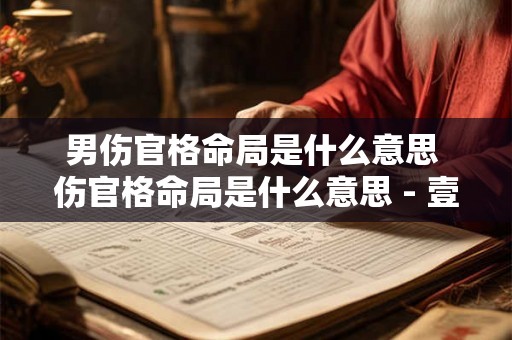 男伤官格命局是什么意思 伤官格命局是什么意思 - 壹风水