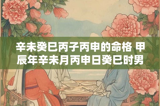 辛未癸巳丙子丙申的命格 甲辰年辛未月丙申日癸巳时男命格